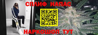 ПСИЛОЦИБИНОВЫЕ ГРИБЫ Новокубанск