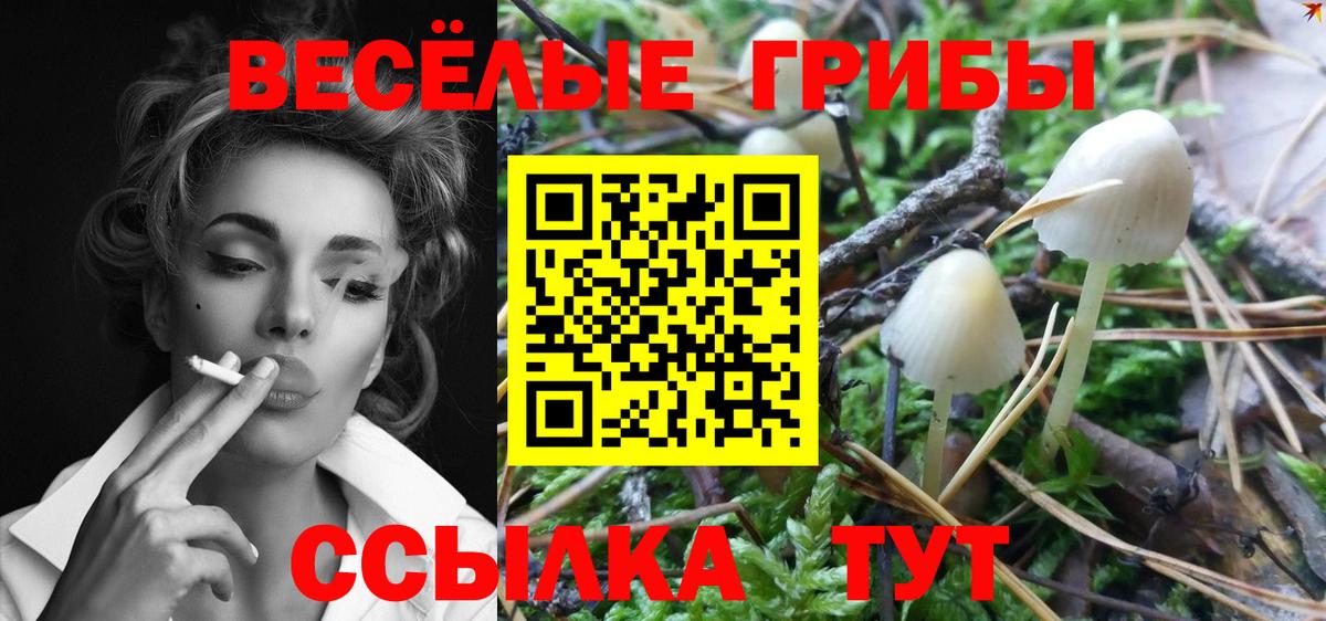 Солнечногорск  Псилоцибиновые грибы MAGIC MUSHROOMS  Вход с VPN  Галлюциногенные грибы Cubensis 